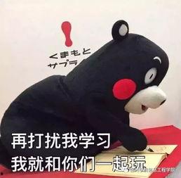 奔二表情包,青春不散场，笑对岁月长